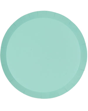 Mint Green 27cm Round Paper Banquet Plates Pack of 10