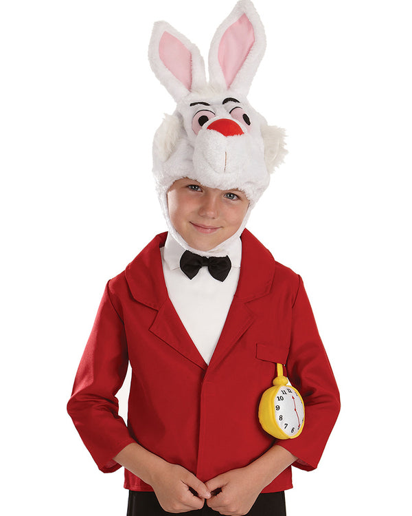 Mister Rabbit Boys Costume