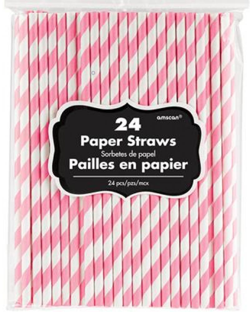 Pink 20cm Paper Straws Pack of 24