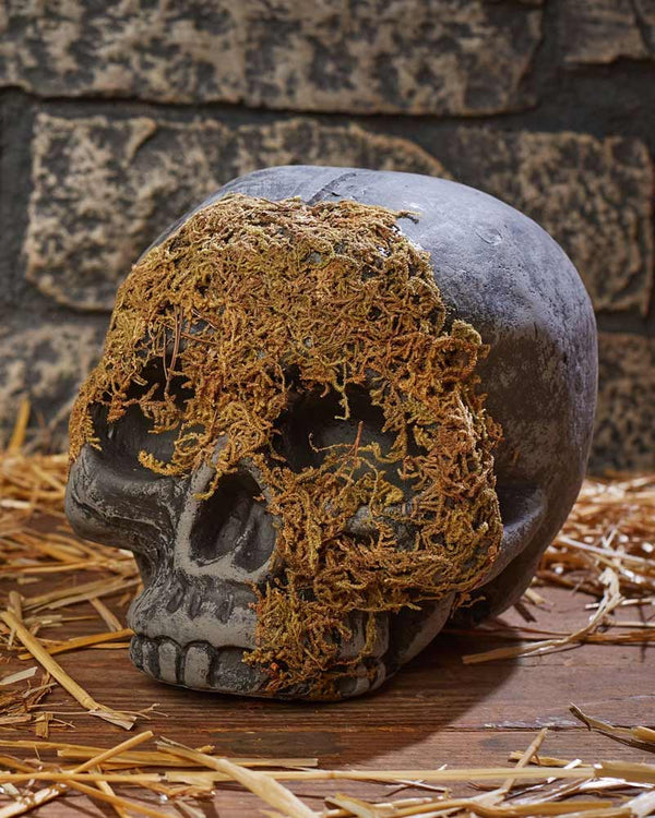 No Jaw Moss Covered Skull