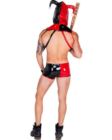 Nobodys Fool Jester Mens Costume