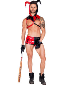 Nobodys Fool Jester Mens Costume