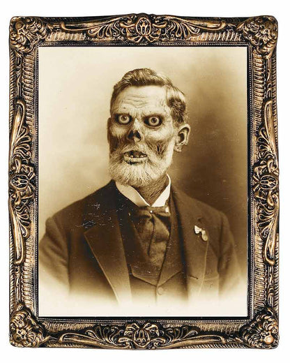 Pappy Fungus Holograph Portrait 53cm