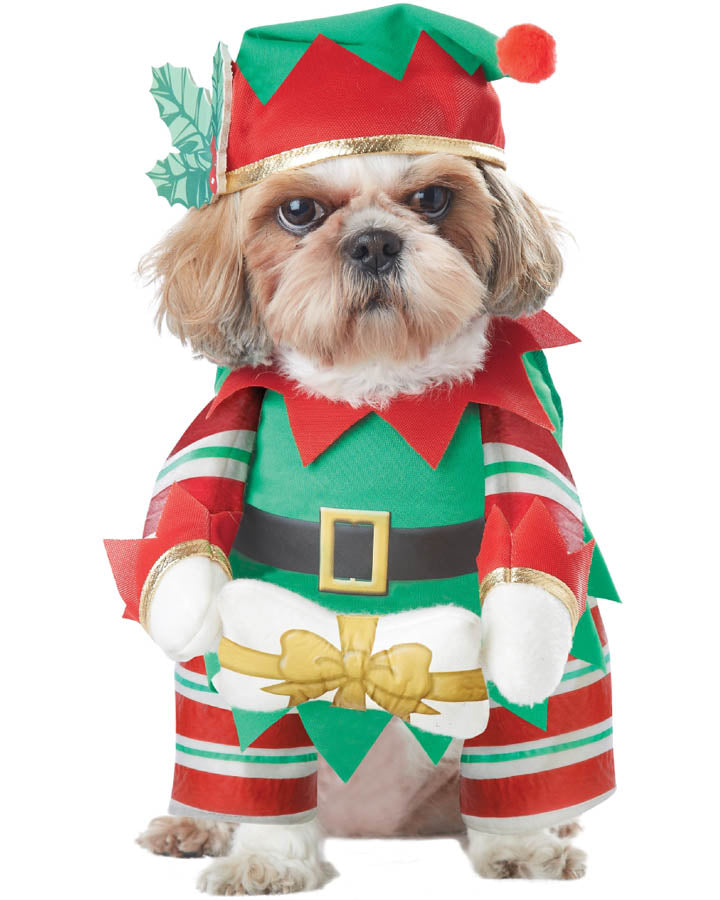 Elf Pup Pet Christmas Costume