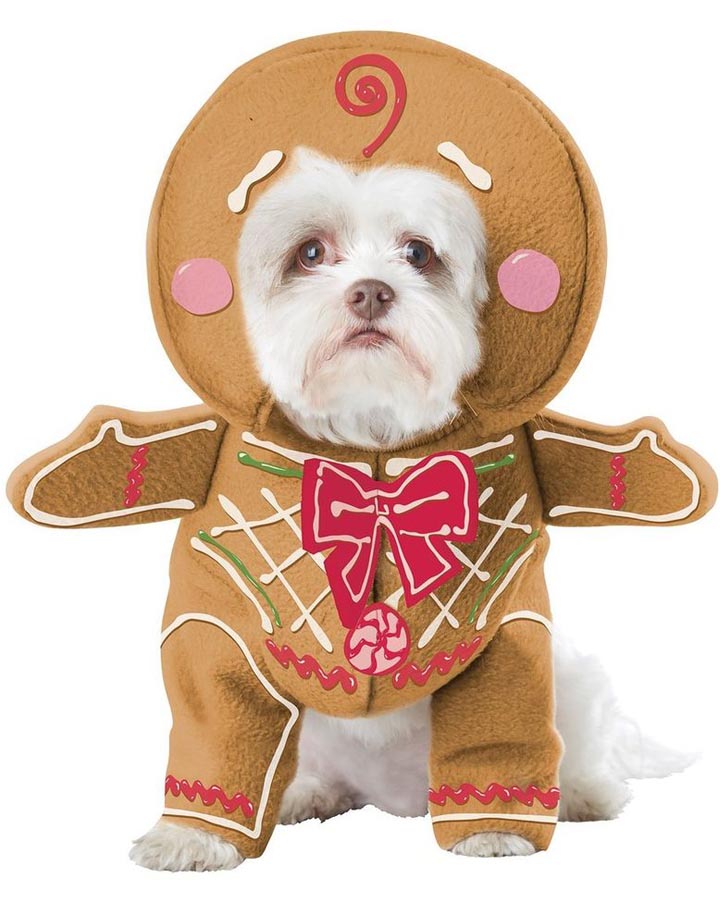 Gingerbread Pup Dog Christmas Costume