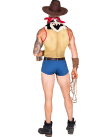 Playful Sheriff Mens Costume