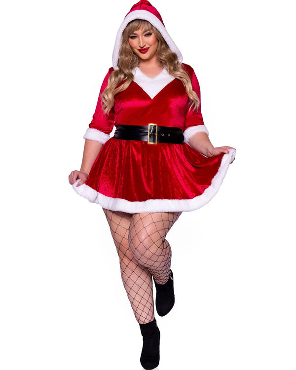Mrs Claus Womens Plus Size Christmas Costume