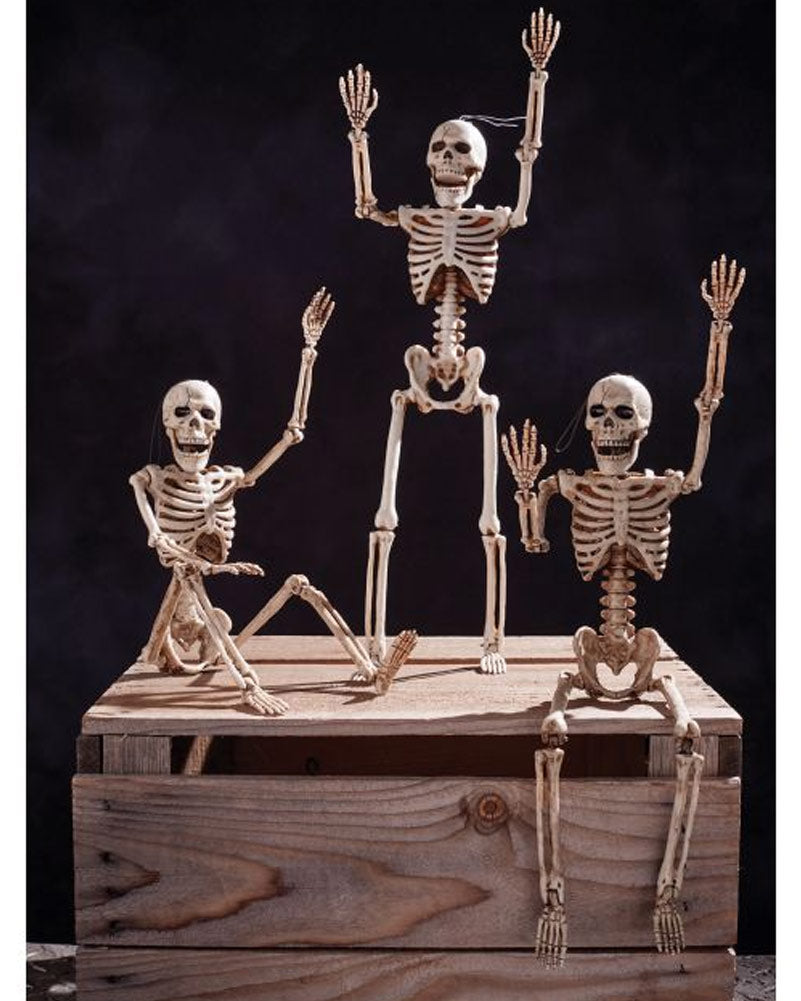 Posable Skeleton 36cm