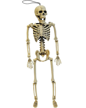 Posable Skeleton 36cm
