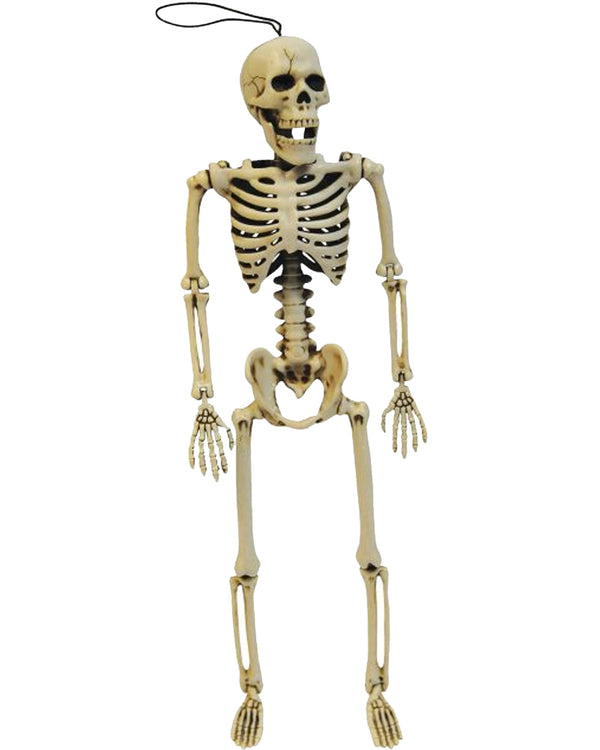 Posable Skeleton 36cm