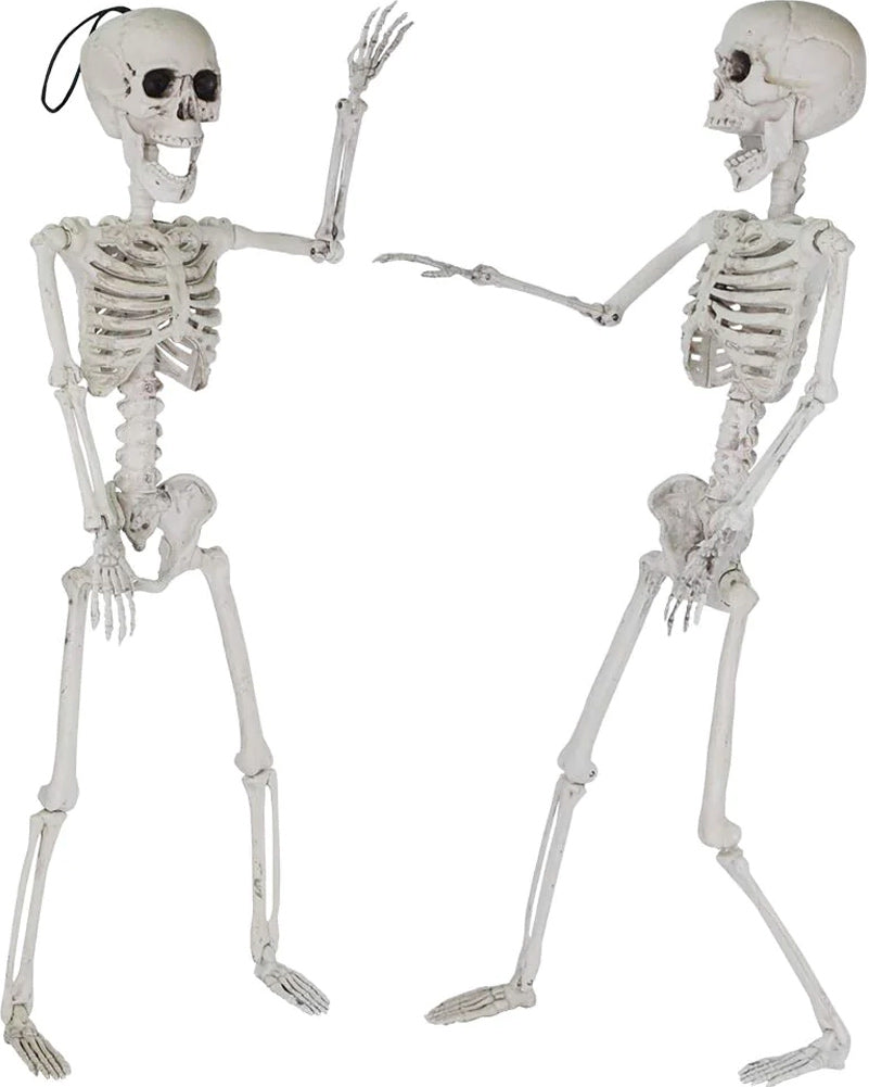 Pose N Stay Skeletons 61cm Pack of 2