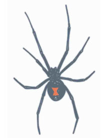 Prison Red Back Spider Temporary Tattoo For Halloween