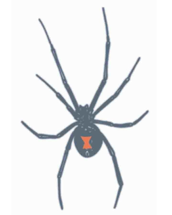 Prison Red Back Spider Temporary Tattoo