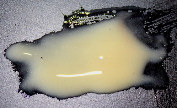 Pus Makeup Effect Gel