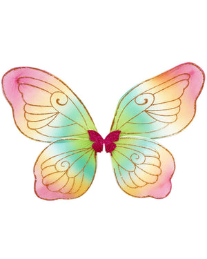 Rainbow Brights Fairy Wings