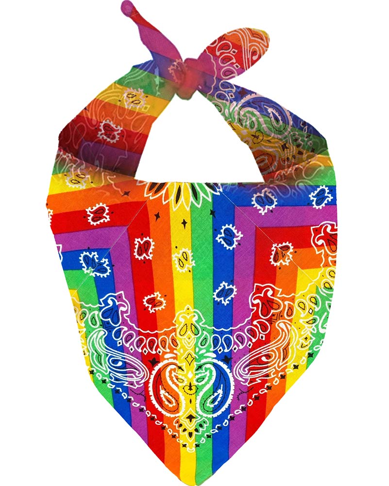 Rainbow Cowboy Bandana