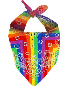 Rainbow Cowboy Bandana