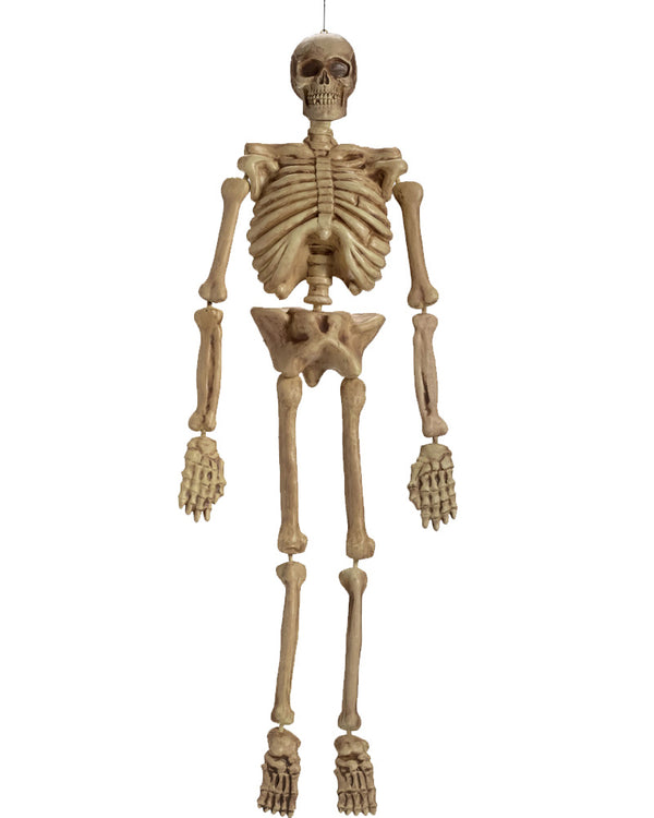 Realistic Skeleton 1.5m