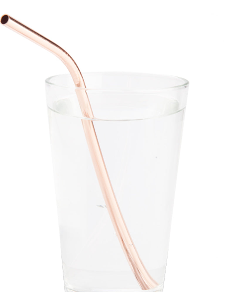 Rose Gold Metallic Straws Pack of 4