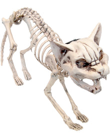 Screaming Skeleton Cat With Light Up Eyes For Halloween