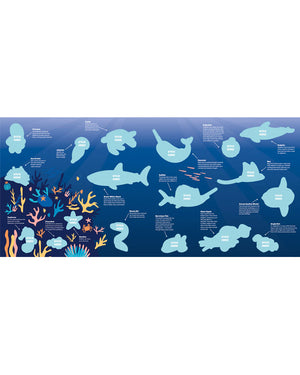 Christmas Shark Celebration Novelty Crackers Pack of 6