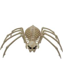 Skeleton Wolf Spider 37cm For Halloween