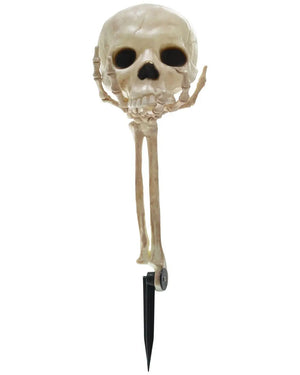 Skull in Hand Groundbreaker 36cm