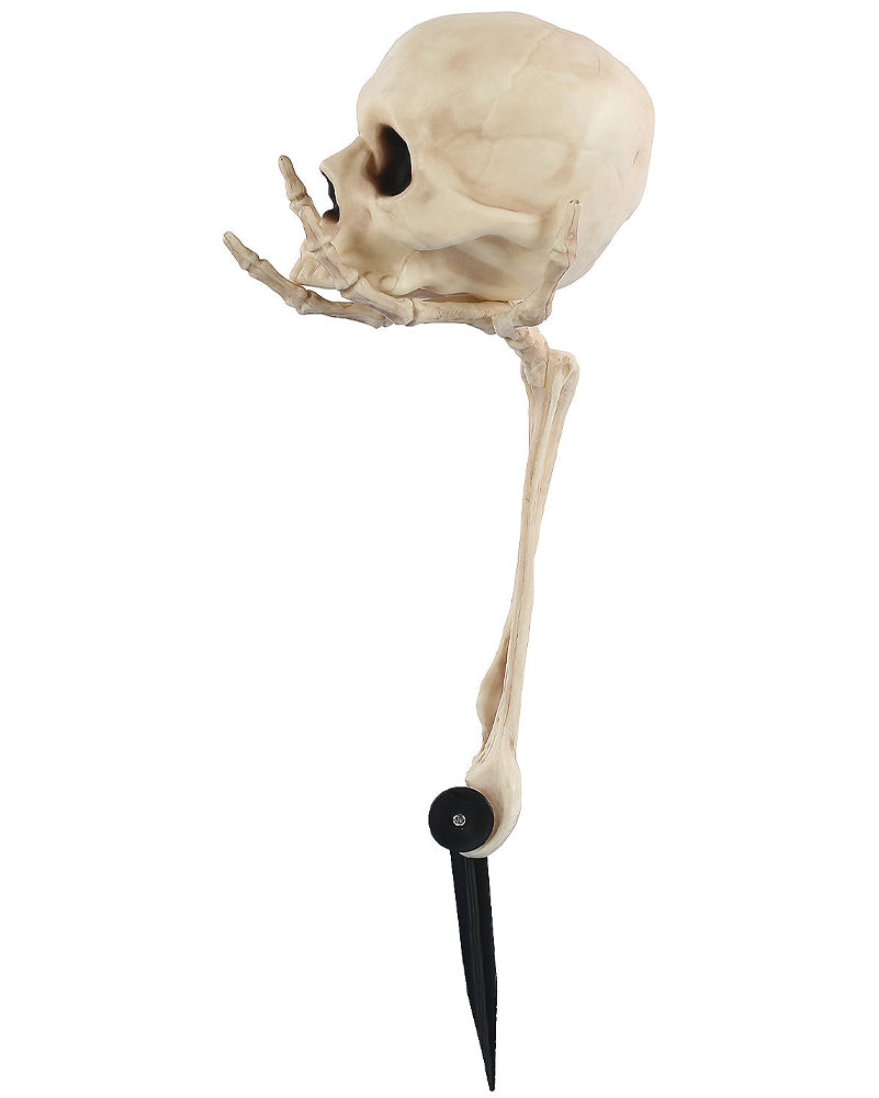 Skull in Hand Groundbreaker 36cm