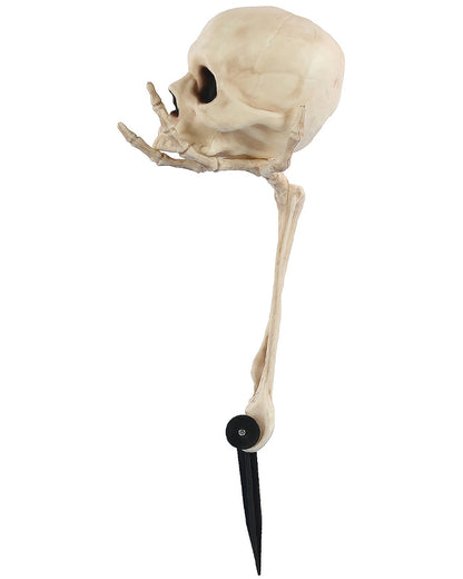 Skull in Hand Groundbreaker 36cm
