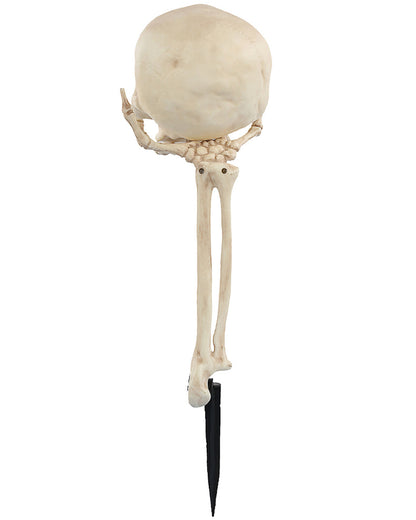 Skull in Hand Groundbreaker 36cm