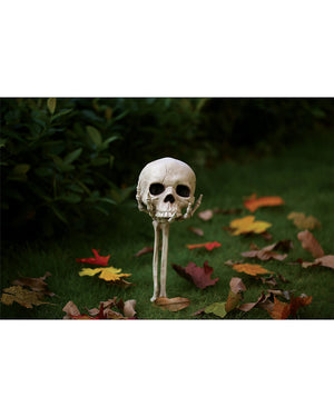 Skull in Hand Groundbreaker 36cm