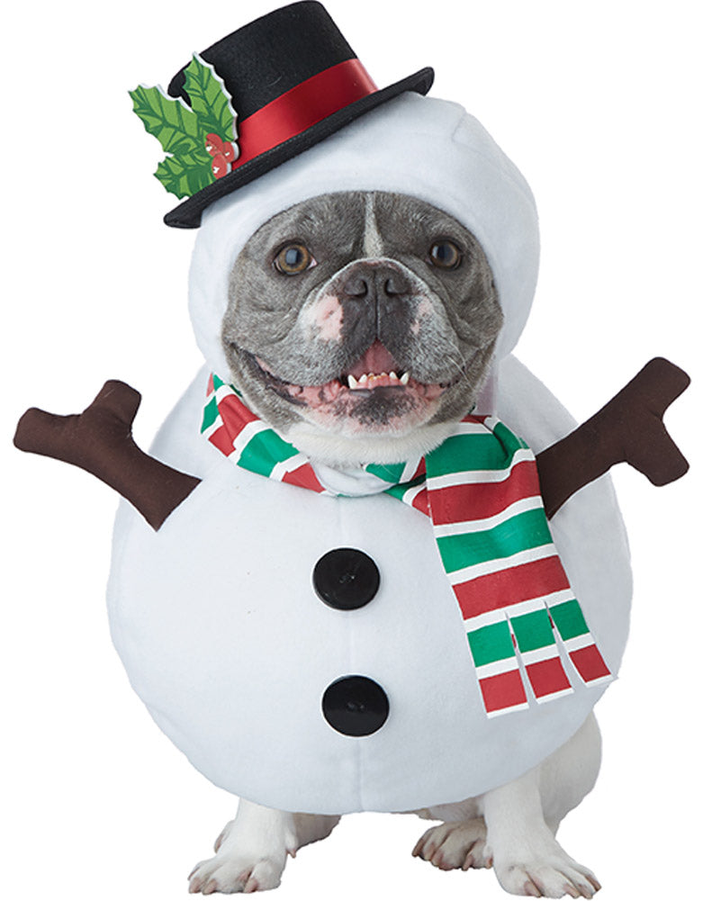 Snowman Dog Pet Christmas Costume
