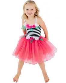 Tea Party Fairy Dress Girls Costume