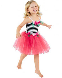 Tea Party Fairy Dress Girls Costume