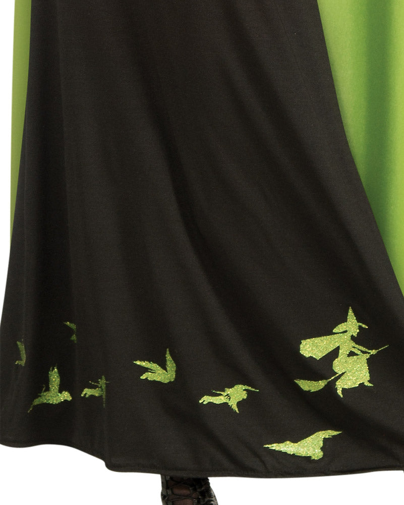 The Wicked Witch of the West Womens Costume