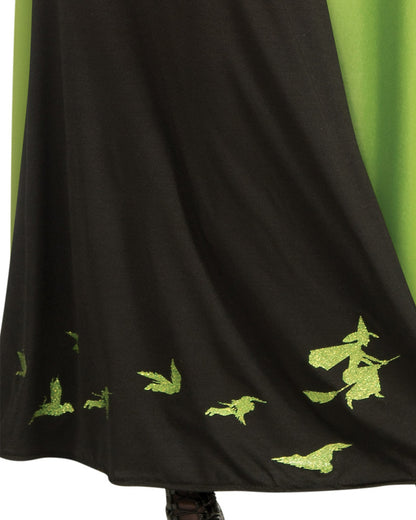 The Wicked Witch of the West Womens Costume