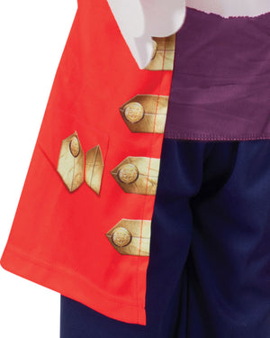 The Wiggles Captain Feathersword Toddler and Boys Costume