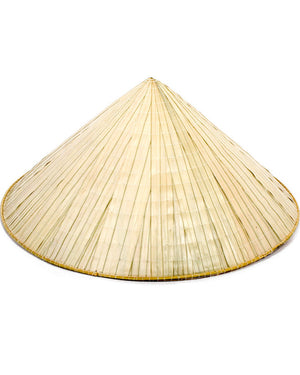 Traditional Asian Rice Hat