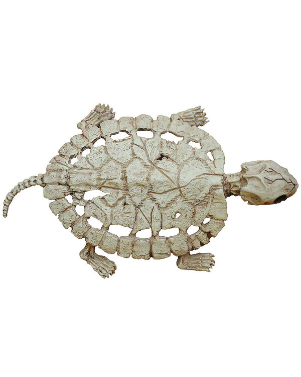 Turtle Skeleton Prop 20cm