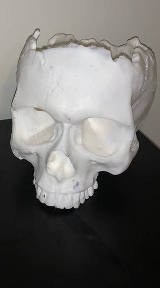 White Large Skull Pot Plant Holder