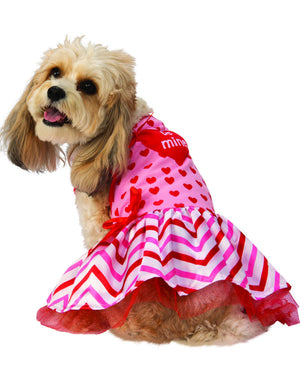 Valentines Day Sweetheart Dress Pet Costume