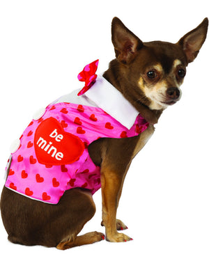 Valentines Day Sweetheart Vest Pet Costume