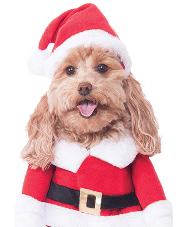 Walking Santa Deluxe Pet Christmas Costume