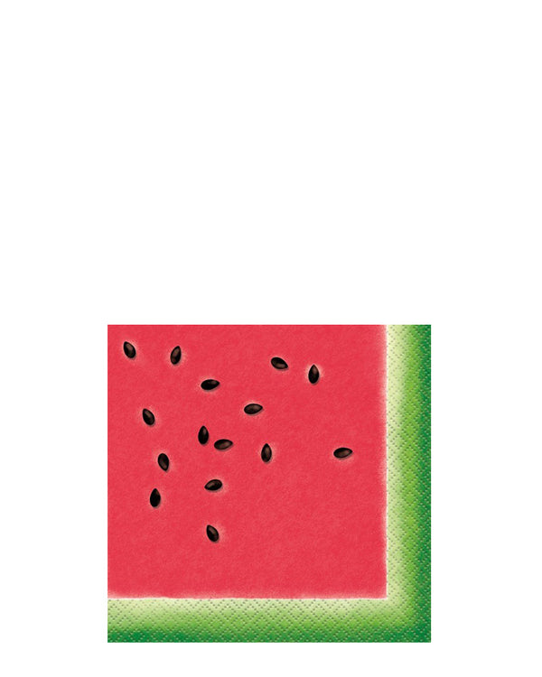 Watermelon 2ply Beverage Napkins Pack of 16