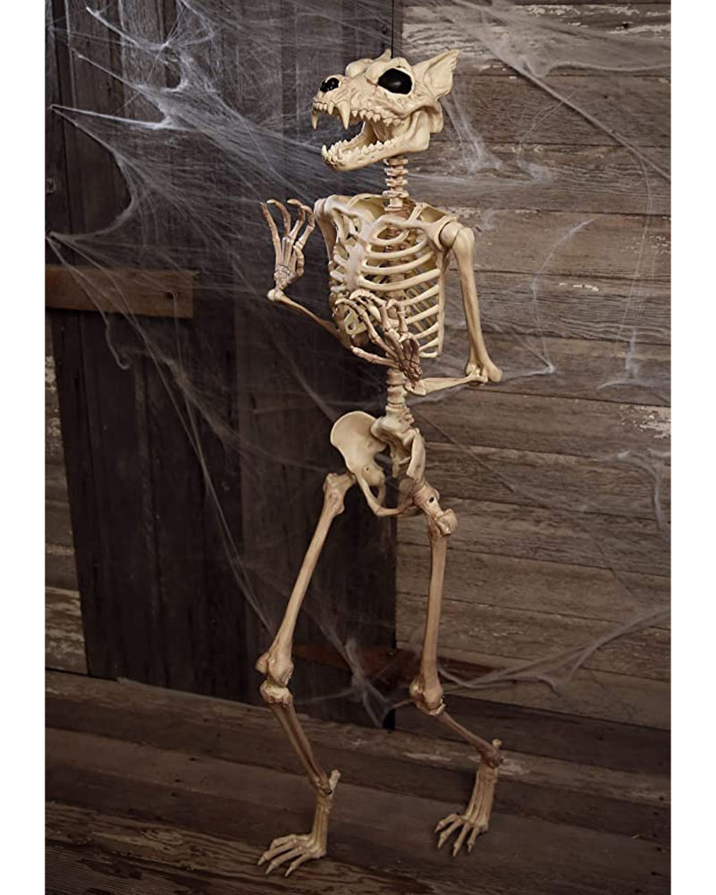Werewolf Pose N Stay Skeleton 1.5m