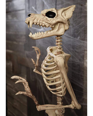 Werewolf Pose N Stay Skeleton 1.5m