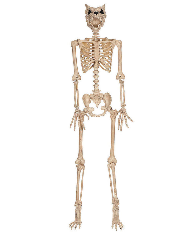 Werewolf Pose N Stay Skeleton 1.5m