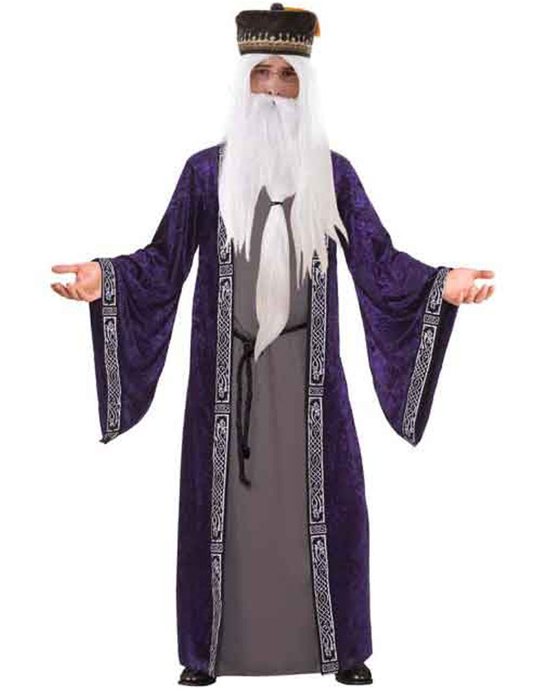 Wizard Mens Book Week Costume