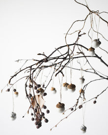 Cream Wool Glitter Acorn Pack of 6