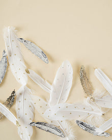 Christmas Feather Silver Tip and Spot Pack of 6